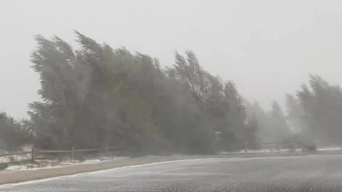 Blizzard conditions with snow and wind Stock Footage 171829308