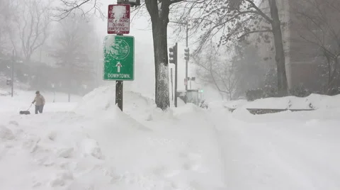 Blizzard, dog walker down middle of street Stock Footage 59671871
