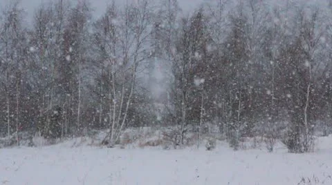 Blizzard in Finland Stock Footage 10587795