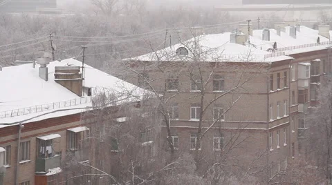 Blizzard Stock Footage 1002009