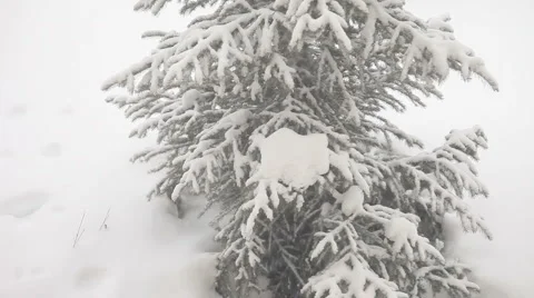 Blizzard Stock Footage 3041084