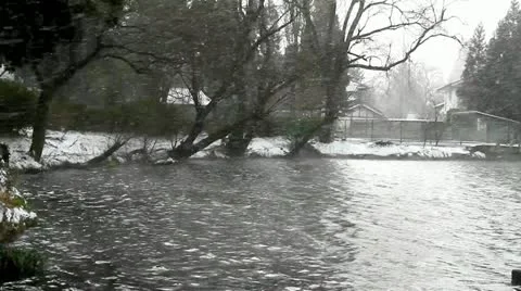 Blizzard Stock Footage 10931191