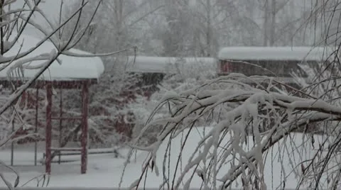 Blizzard Stock-Footage 22030645