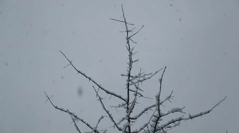 Blizzard Stock Footage