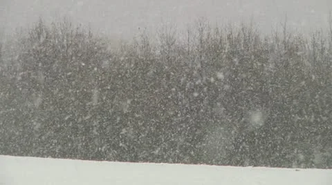 Blizzard Stock Footage 22636311