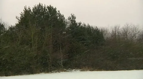 Blizzard Stock Footage 22636315