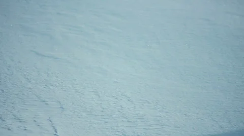 Blizzard Stock-Footage 34430701