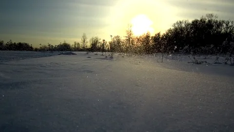 Blizzard Video stock 103982461