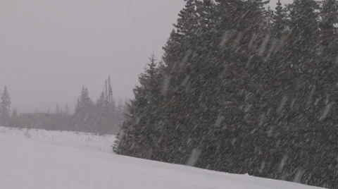 Blizzard Hiker #1 of 4 Stock Footage 2275017