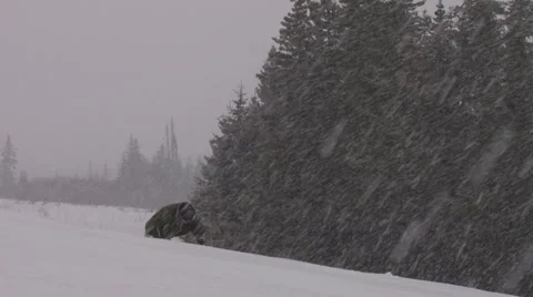 Blizzard Hiker #3 of 4 Stock Footage 2279359