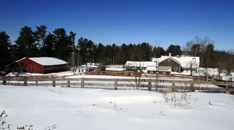 Blizzard with Horse during Day Stock Footage 68757698