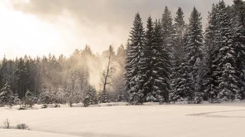 Blizzard in March Fotos de archivo