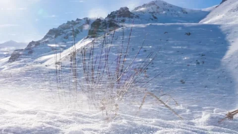 Blizzard in the mountains in winter Stock Footage 262441186