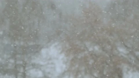 Blizzard outside the window. Видео 221564075