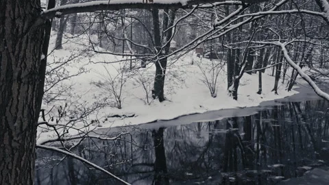 Blizzard Over Icy Rapids and Snow-Covered Shore. Version 2 Stock Footage 300018931