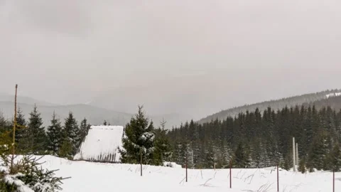 Blizzard Over Mountain Forest In Winter Stock Footage 170306144
