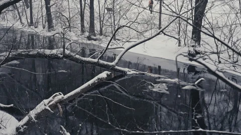 Blizzard Over Snowy River and Frosted Trees. Version 3 Vídeo Stock 299956201