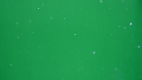 Blizzard with real snow falling captured in front of green screen Video stock 98123329