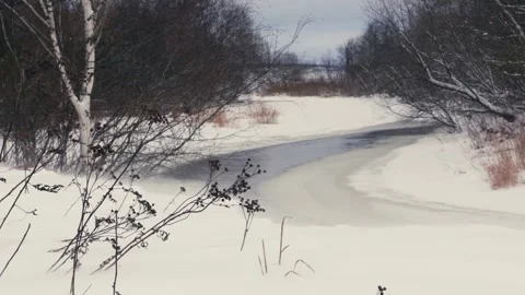Blizzard on a Riverbank with Strong Winds and Snowstorm Stock Footage 317608923