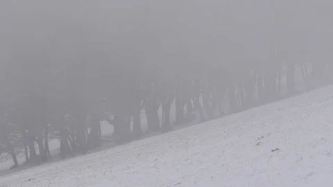 Blizzard snow and high wind in severe snow storm on cold winter day Stock Footage 84139662