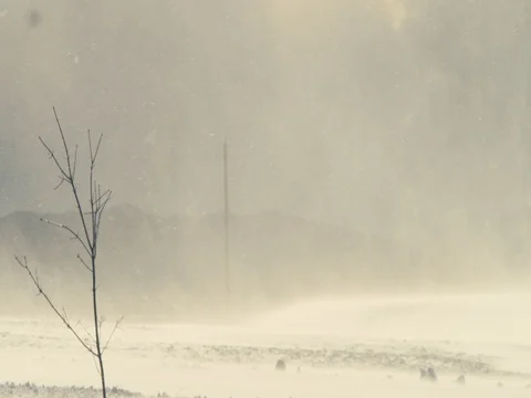 Blizzard snow drifting slow motion shot on RED EPIC Video stock 84917529