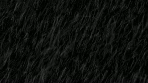 Blizzard Snow Stock-Footage 12670607