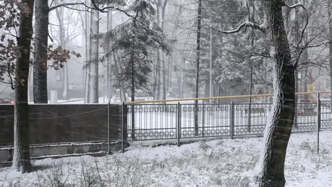 Blizzard Snow Stock Footage 83885267