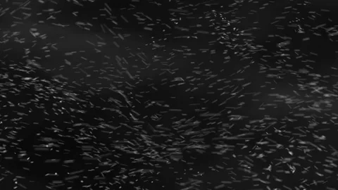 Blizzard Snow Loop - Medium Shot Pre-render Side Wind Stock Footage