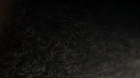 Blizzard. Snowflakes are moving chaotically and quickly due to strong wind Vidéo 63008272
