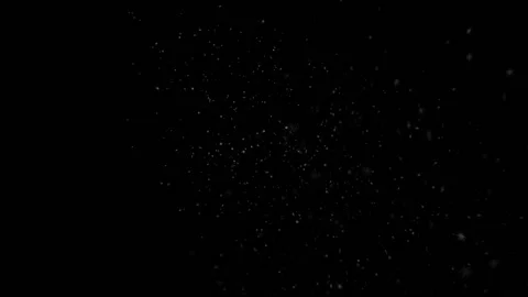 Blizzard of Snowflakes Stock Footage 100643450