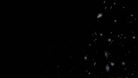 Blizzard of Snowflakes Stock Footage 100643472
