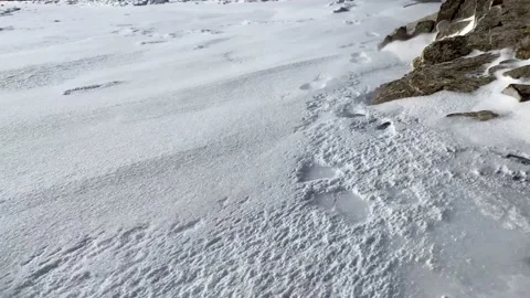 Blizzard, snowstorm, snowy wind Video stock 146460741