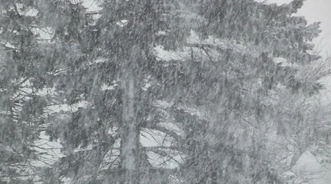 Blizzard snowstorm stranded winter Stock Footage 36704580