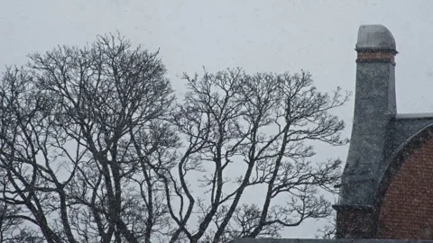 Blizzard with trees and a building in the background Stock Footage 268695756