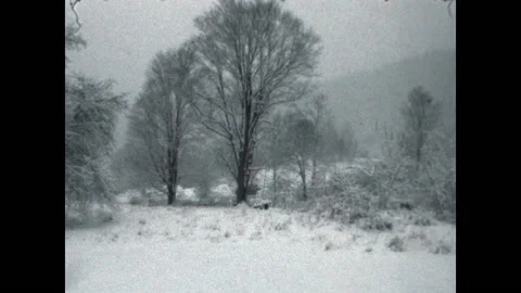Blizzard Upstate 1985 Stock Footage 234731356