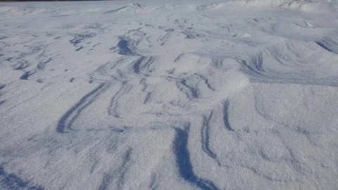 The Blizzard. Wind and snow. Blowing winter wind Stock Footage 103393758