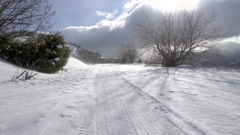 Blizzard in winter on forest road with much snow. Sun in the clouds Stock Footage 96380664