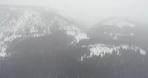 Blizzard, woods, and a great composition Stock Footage 138850616