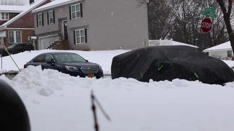 Blizzard01 Stock Footage 245760225