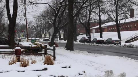Blizzard03 Stock Footage 245760219