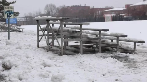 Blizzard04 Stock Footage 245760235