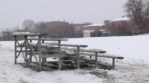 Blizzard05 Stock Footage 245761219