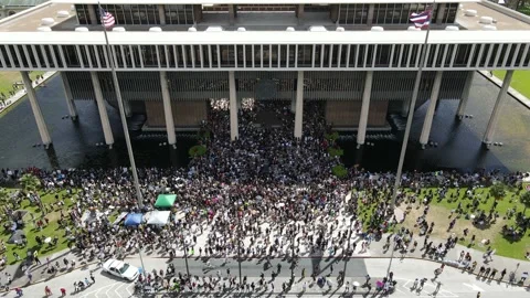 BLM Black Lives Matter Protest Aerial Hawaii State Capitol 4K Stock Footage 138293464