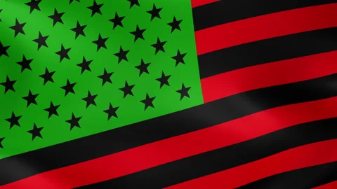 BLM Flag of USA Background Video Loop 스톡 동영상 132746348