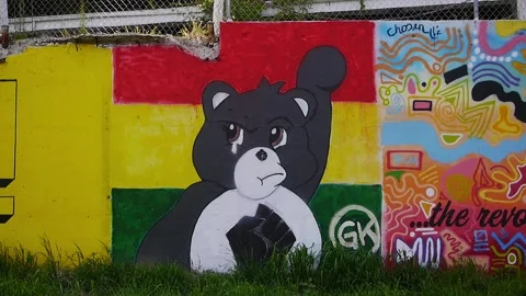 BLM Mural 12 Stock Footage 137130832