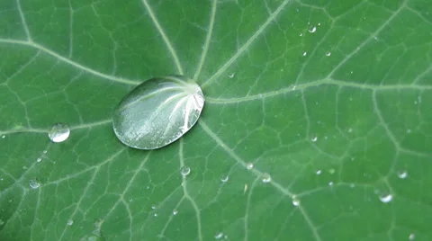 Blob 動画素材 29326263