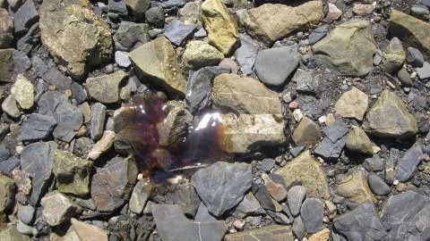 The Blob 스톡 사진