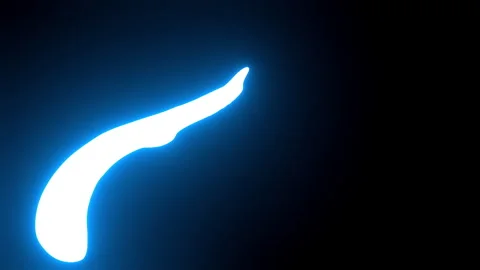 Blob wipe animated presenting glowing blue fluid curve indicator Vídeo Stock 341964614