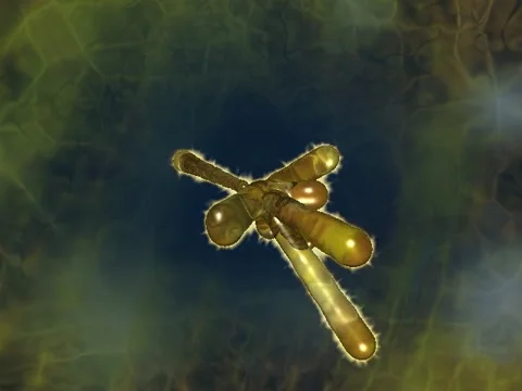 Blobby Yellow Stock Footage 1055747