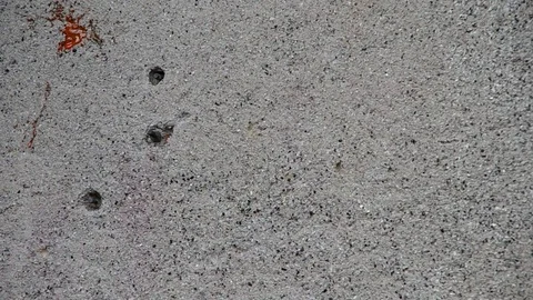 Blobs with paint Stock Footage 73149369